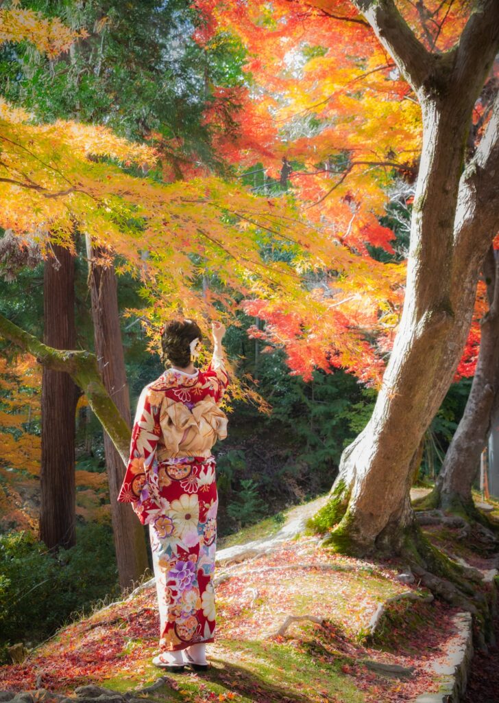 Young woman in kimono under maple tree, Kyoto, Japan